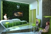 Green Office